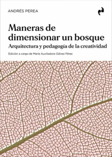 MANERAS DE DIMENSIONAR UN BOSQUE